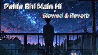 Pehle Bhi Main (Slowed + Reverb) | Vishal Mishra | Animal | Musical Life Zone