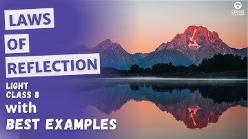 What are the Laws of Reflection? | Light | CBSE Class 8 | Episode 2 | Genius Science