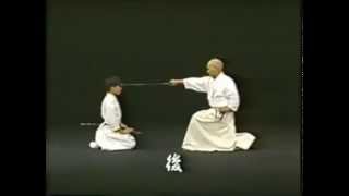 2 Ushiro   scenario - Iaido