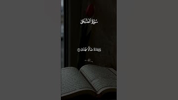سورة الضحى بصوت الشيخ أحمد العجمي قرآن كريم راحة نفسية 🤍🎧 #قرآن #قران_كريم