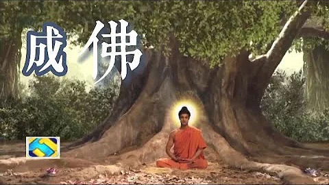 71 佛陀的故事21 悉達多終於成佛 - 天天要聞