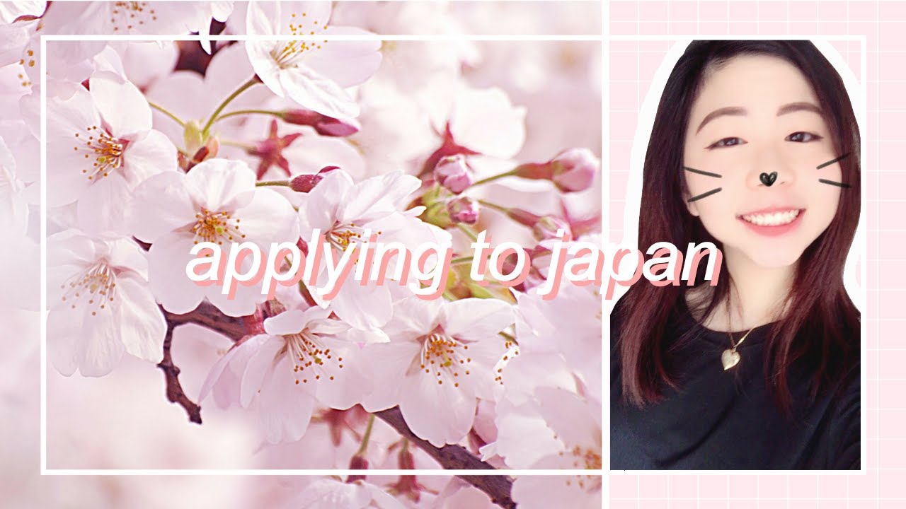 APPLYING TO STUDY IN JAPAN SOPHIA UNIVERSITY YouTube