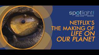 SPOTLIGHT: Netflix's The Making of Life on Our Planet