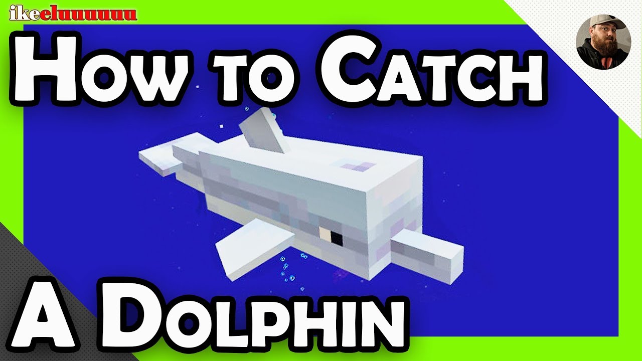 Dolphin - Minecraft Guide - IGN