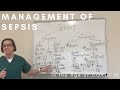 Sepsis in the Age of COVID