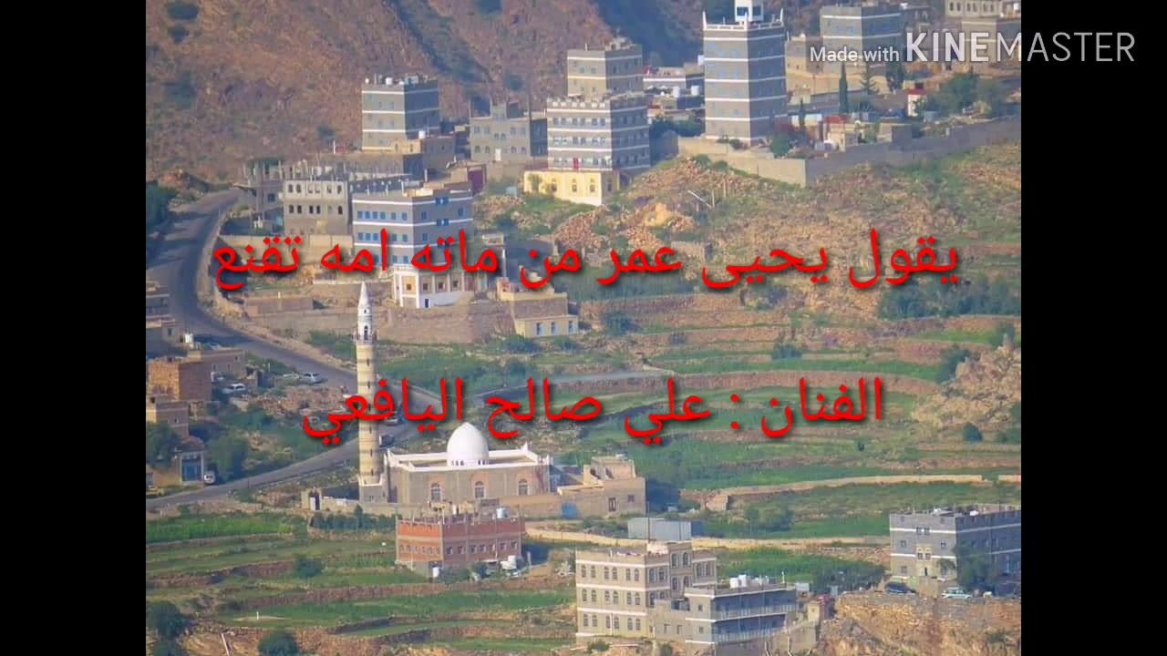 يقول يحيى عمر من ماته امه تقنع _ علي صالح اليافعي