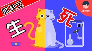 【科學小知識 】平行宇宙是什麼？多重宇宙中的另一個你！ 薛丁格的貓是什麽？（#CC字幕） | 維思維