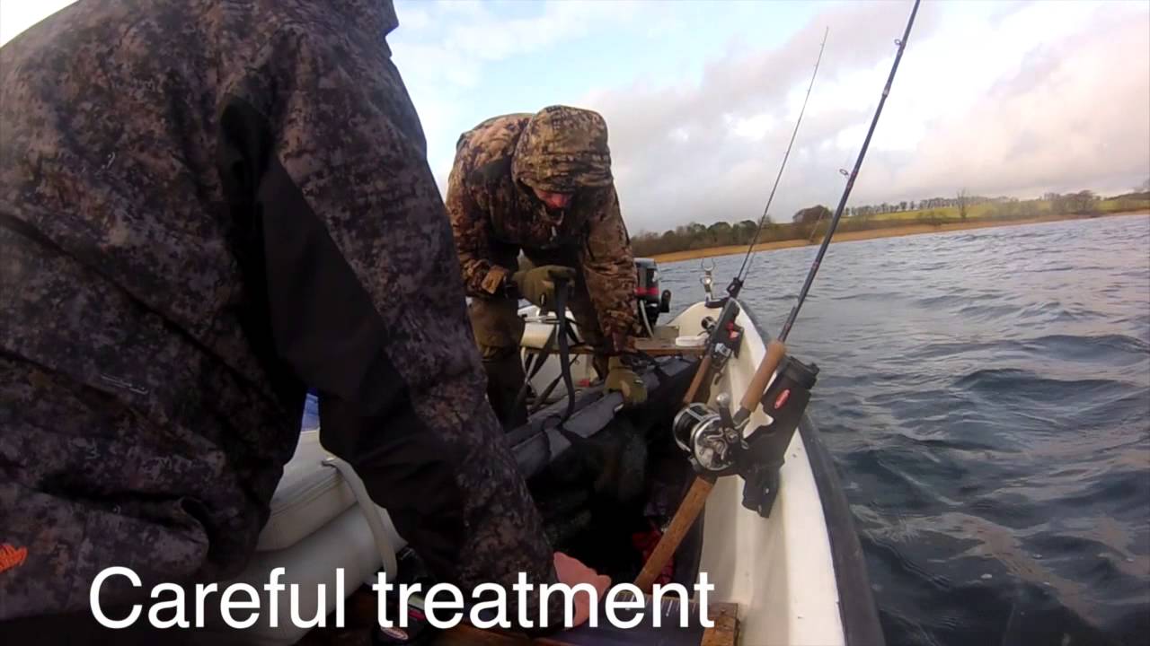 🌊 Chasing Giants Pike Fishing with Michael Brink in Northern Jutland! 🐟🎉