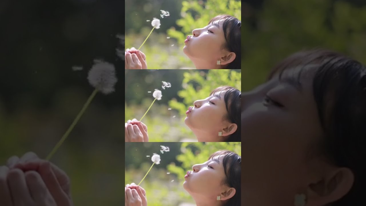 민들레 후~ Blow the dandelion #Shorts