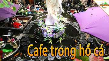 Độc Đáo Quán Cafe Trong Hồ Cá Koi Ở Sài Gòn | Duy Jungle