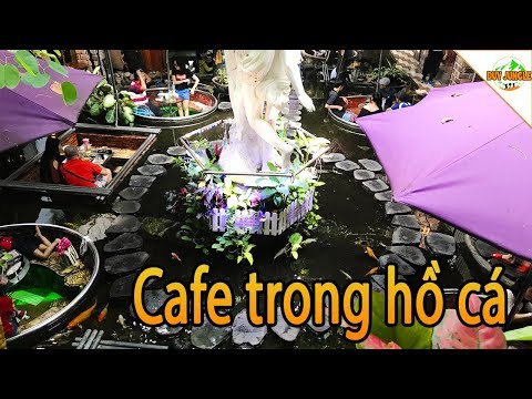 Video Độc Đáo Quán Cafe Trong Hồ Cá Koi Ở Sài Gòn | Duy... - youtube