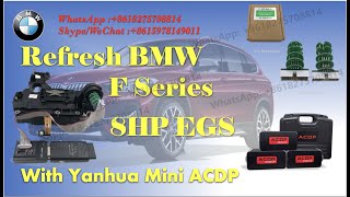 How to use Yanhua ACDP BMW F series  8HP EGS  refresh clear ISN