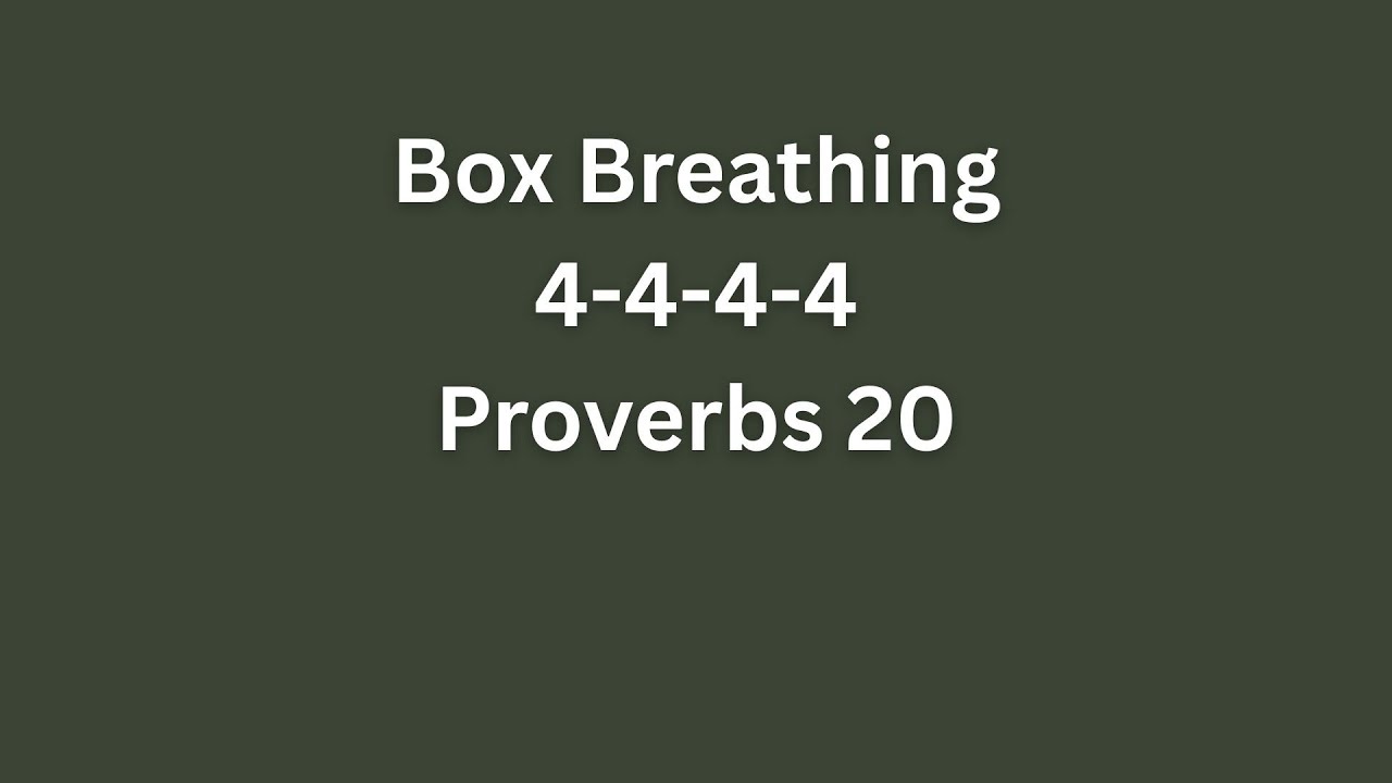 Proverbs 20  Box Breathing Bible Meditation with Rain Background Noise