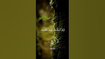 ما تيسر من سورة البقرة بصوت الشيخ محمد هشام 🤍🎧 #اكسبلور #اكسبلور_explore #راحة_نفسية #قرآن #لايك