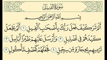 سورة الفيل .بصوت الشيخ رمضان شيخ امام مسجد الكالوتي