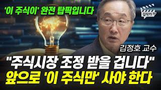 주식시장 조정 받을 겁니다, 앞으로 '이 주식만' 사야 한다 (김정호 교수)