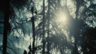 Download Lagu Twilight-Leona Lewis Run MP3 Download Lagu Twilight-Leona Lewis Run MP3