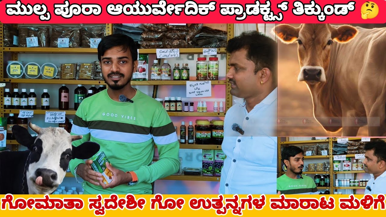 ಎಲ್ಲಾ ಗೋ ಉತ್ಪನ್ನ ಪ್ರಾಡಕ್ಟ್ ಒಂದೇ ಜಾಗದಲ್ಲಿ. 🔥✨  #tulunadu #tuluvlogs 