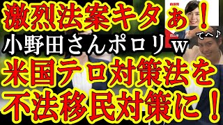 【小野田紀美ポロリ♪『日本行の飛行機にすら乗せない！』マジ激烈！日本が米国『テロ対策法エスタ』をなんと『不法移民防止法』に導入だ！】入国防止効果は絶大！日本への不法移民の60％以上を消滅させる事が可能
