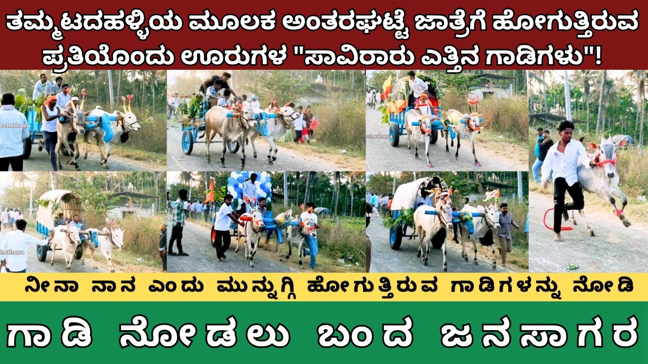 ತಮ್ಮಟದಹಳ್ಳಿ ಗೇಟ್ ಮೂಲಕ ಅಂತರಘಟ್ಟೆ ಜಾತ್ರೆಗೆ ಹೋಗಲು ಪ್ರತಿಯೊಂದು ಊರುಗಳಿಂದ ಬರುವ ಸಾವಿರಾರು ಎತ್ತಿನ ಗಾಡಿಗಳು ಓಟ !