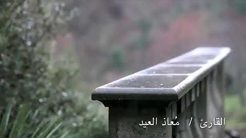 مقطع من سورة يس | معاذ العيد