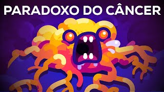 Por que baleias azuis não têm câncer? – Paradoxo de Peto