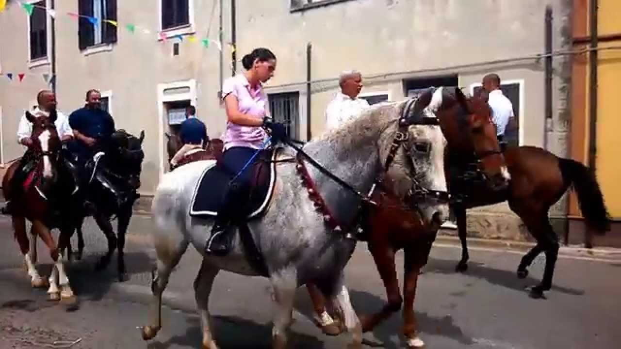 Ardia 2015 Sindia Nu. Die De Eranu