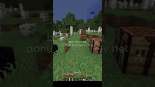fake elytra mod #viral #minecraft #gaming #funny #donutsmp