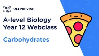 A-level Biology Year 12 Webclass: Carbohydrates
