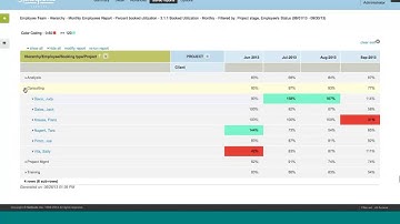 NetSuite OpenAir - Reporting