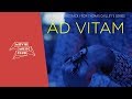 HiTnRuN - Aller vers quoi | From the TV show &quot;Ad Vitam&quot;