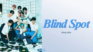 Stray Kids  Blind Spot color Coded Hanengalb