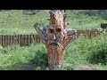 Урочище Че-Чкыши Чемал
