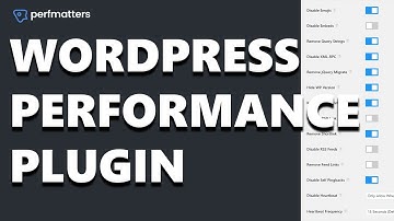 Perfmatters - An Essential WordPress Performance Plugin
