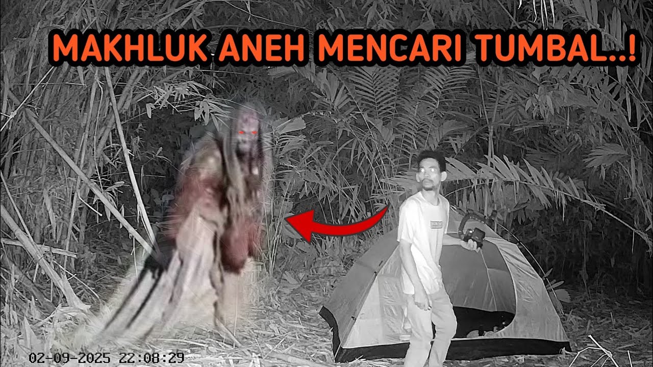 HOROR‼️ADA MAKHLUK ANEH MENCARI TUMBAL -PANIK DALAM TENDA