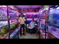 Pari Aquarium Fish Shop