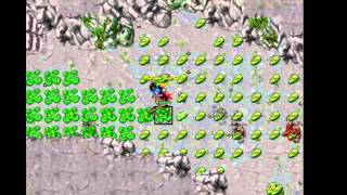 Tibia Update Muda Os Sprites, Confira Aqui As Mudanças, EU Gostei! [HD]