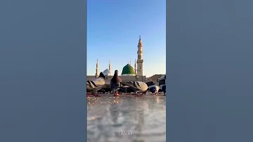 يا رب بالمصطفى بلغ مقاصدنا 