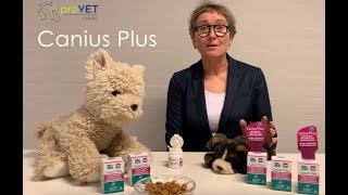 Canius Plus