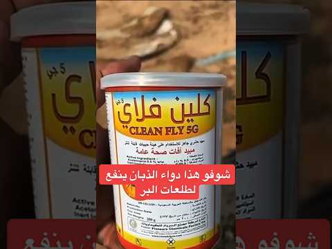 فيديو: ماذا تستخدم dipterans للتغذية؟