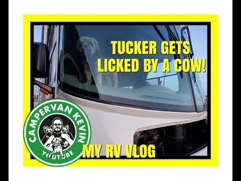 Off The Road- My First Breakdown In My RV "Ms Gypsy". Tucker Gets Licked By A Cow!