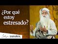 Por qu estoy estresadosadhguru