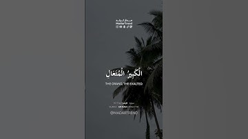 سورة الرعد - عالم الغيب والشهادة الكبير المتعال - الشيخ عبدالله الموسى - مدار ترند MadarTrend