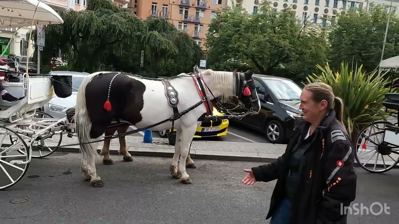 Karlovy Vary (Çekya)