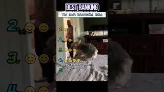 Dad's most unexpected reaction #funny #foryou #funnyvideo #fyp #funnytiktok #Interesting #videos