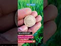 #youtubeshorts #oldcoins #sallcoins#comedy #funny #trending #coin#football #baby #trendingshorts