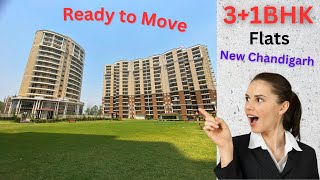 Discover Ready-to-Move 💕 3+1BHK Luxury Apartments in New Chandigarh | Ambika Florence Park #trending