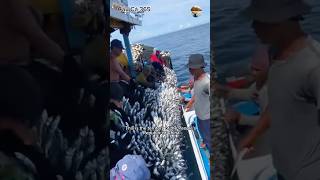 Dangerous Fishing Near Chinese Waters #fishing #amazing #cauca365 #short