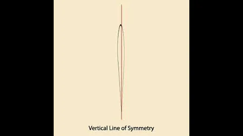 Vertical Line Symmetry: Composite Figure 3