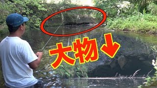 川で警戒心の強い魚を釣れ！[忍者フィッシュ　前半]
